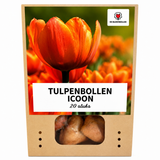 Tulpenbollen Icoon — oranje dubbelbloemige tulp, 20 stuks (maat 11/12)