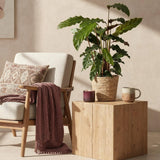Green BoutiQ - Green is... Kamerplanten - Calathea Rufibarba - Pauwen plant - Weinig onderhoud - Groen - 2 Planten - Pot 17cm - Hoogte 55-60cm