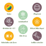 Green boutiQ - Vasteplant - Borderpakket - Bodembedekend - Diversen - Soorten en kleuren - 6 Planten - Pot 11cm - Hoogte 15-25cm