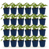 Green boutiQ - Vasteplant - Geranium 'Rozanne' - Ooievaarsbek - Bodembedekkend - Blauw - 24 Planten - Pot 11cm - Hoogte 15-25cm