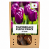 Tulp Purple Prince — paarsviolet