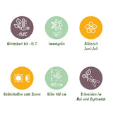 Green boutiQ - 40x Ligustrum ovalifolium - Gewone Liguster - Haagplanten - Groenblijvend - Groen - Pot 9cm - Hoogte 35-45cm