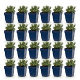 Green boutiQ - Vasteplant - Lavandula ang. Dwarf Blue - Lavendel - Geurend - Paars - 24 Planten - Pot 11cm - Hoogte 15-25cm