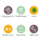 Green boutiQ - Terrasplant - Japanse Esdoorn - Acer palmatum Methamorphosa - Groen - 1 Plant - Bladverliezend - Pot 19cm Hoogte 70cm