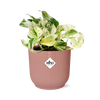 Epipremnum Pinnatum Happy Leaf in ELHO Vibes Fold 14cm roze