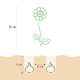 Green boutiQ - Bloembollen - Anemone de Caen mix - Diversen Kleuren - 30 stuks - Bolmaat 5/6 - XXL Pack