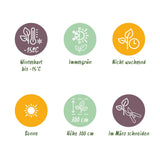 Green boutiQ - Fruitplant - Musa Basjoo - Bananenboom - Winterhard - Groen - 1 Plant - Pot 21cm - Hoogte 70-90cm