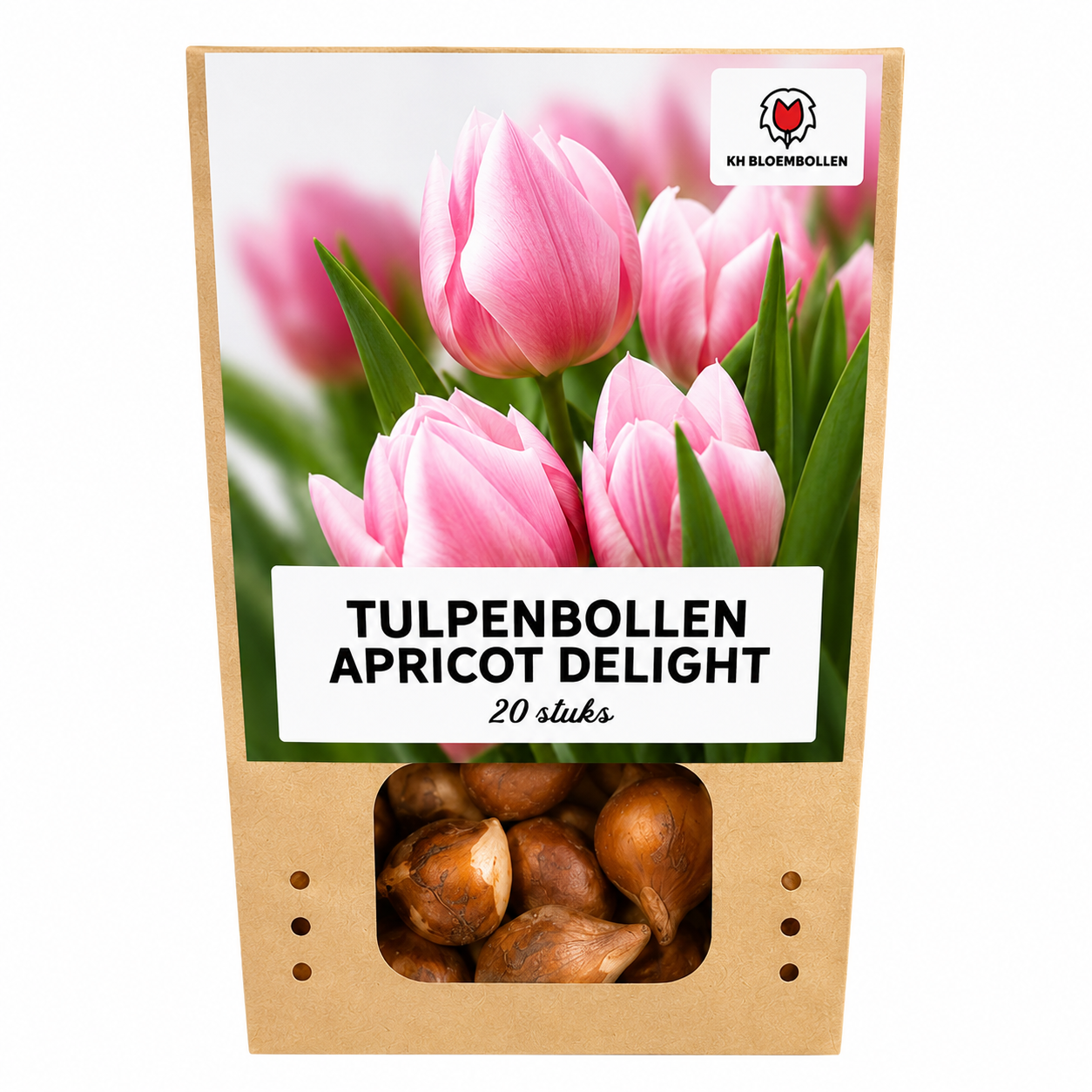 Tulp Apricot Delight — abrikoosroze