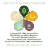 Green boutiQ - Kamerplant - Marantha Silverband, Marantha Lemon Lime Marantha Kerchoveana - Gebedsplant - Huisdiervriendelijke Plant - Groen - 3 Planten - met Potter Grijs - Pot 12cm - Hoogte 25cm