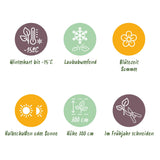 Green boutiQ - Tuinplant - Cotinus coggyria Royal Purple - Paars - 1 Plant - Bladverliezend - Weinig Onderhoud - Pot 12cm Hoogte 35cm