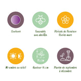 Green boutiQ - Bloembollen - Crocus Ruby Giant - Kleur Paars - 50 stuks - Bolmaat 5/6 - XXL Pack