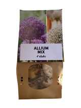 Alliumbollen mix — sieruien, 4 stuks