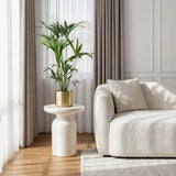 Green boutiQ - Kamerplant - Howea Forsteriana - Kentia Palm - Weinig Onderhoud - Groen - 2 planten - Pot 19cm - Hoogte 80-85cm