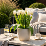 Green boutiQ - Bloembollen - Tulp Triumph White - Kleur Wit - 15 stuks - Bolmaat 11/12 - XXL Pack
