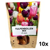 Tulpenbollen mix — 10 zakjes van 20 stuks (maat 11/12)