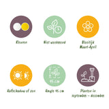 Green boutiQ - Bloembollen - Narcis Double mix - Kleur Geel en Wit - 10 stuks - Bolmaat 12/14 - XXL Pack