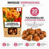 Tulpenbollen Gudoshnik Double — geel-oranje-rood, 20 stuks (maat 11/12)