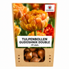 Tulpenbollen Gudoshnik Double — geel-oranje-rood, 20 stuks (maat 11/12)