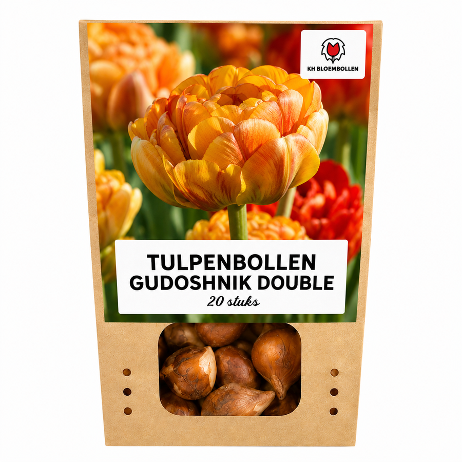 Tulpenbollen Gudoshnik Double — geel-oranje-rood, 20 stuks (maat 11/12)