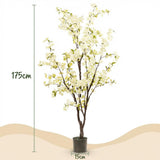 Kunstplant - Prunus - Kersenbloesem - Wit - 175cm