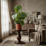 Green boutiQ - Kamerplant - Pauwenplant - Calathea Orbifolia - Groen - Weinig onderhoud - 1 Plant - Pot 21cm - Hoogte 60 - 70cm