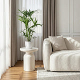 Green boutiQ - Kamerplant - Howea Forsteriana - Kentia Palm - Weinig Onderhoud - Groen - 1 Plant - met Potter Wit - Pot 19cm - Hoogte 80-85cm