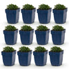 Green boutiQ - Vasteplant - Campanula portenschlagiana - Perzikbladklokje - Bodembedekkend - Roze - 12 Planten - Pot 11cm - Hoogte 15-25cm