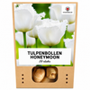 Tulpenbollen Honeymoon — witte kartelrandtulp, 20 stuks (maat 11/12)