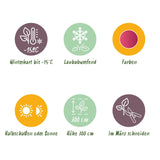 Green boutiQ - Terrasplant - Japanse Esdoorn - Acer palmatum Iyoshi - Roze - 1 Plant - Bladverliezend - Pot 19cm Hoogte 70cm