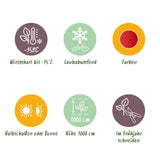 Green boutiQ - Tuinplant - Cercidiphyllum japonicum - Groen 1 Plant - Bladverliezend - Weinig Onderhoud - Pot 12cm Hoogte 35cm