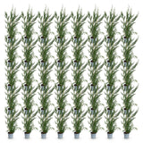 Green boutiQ - 40x Cupressocyparis leylandii 2011 - Leylandii - Haagplanten - Groenblijvend - Groen - Pot 9cm - Hoogte 30-40cm
