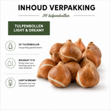 Tulpenbollen Light and Dreamy — pastelmix, 20 stuks (maat 11/12)