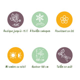 Green boutiQ - Terrasplant - Hortensia - Hydrangea Magical Teusday & Saphire - Rood - 6-10 Bloemen - 2 Planten - Pot 23cm Hoogte 55cm