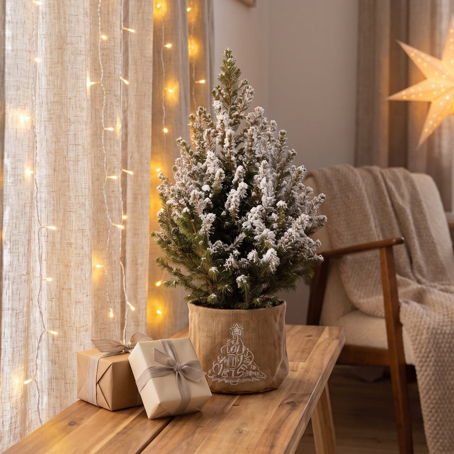 Set van 2 – Pot Ø17 cm · 65 cm hoog · Kegelspar kerstboom besneeuwd · met jute zak (foto 3)