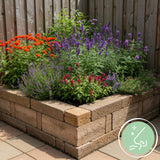Green boutiQ - Vasteplant - Borderpakket - Geurend - Diversen - Soorten en kleuren - 6 Planten - Pot 11cm - Hoogte 15-25cm