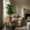 Green boutiQ - Kamerplant - Drakenbloedboom Janet Craig - Dracaena Janet Craig - Groen - Weinig onderhoud - 1 Plant - Pot 21cm - Hoogte 90 - 100cm
