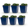 Green boutiQ - Vasteplant - Geranium sang. Max Frei - Ooievaarsbek - Bodembedekkend - Roze - 6 Planten - Pot 11cm - Hoogte 15-25cm