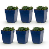 Green boutiQ - Vasteplant - Geranium sang. Max Frei - Ooievaarsbek - Bodembedekkend - Roze - 6 Planten - Pot 11cm - Hoogte 15-25cm