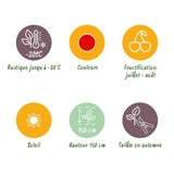 Green boutiQ - Fruitplanten - Rode Bes - Ribes rubrum Jonkheer van Tets- Winterhard - 6 Planten - Pot 9 cm - Rode Bes