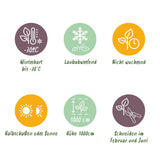 Green boutiQ - Haagplanten - Carpinus betulus -blad groen - 6 planten - 1 strekkende meter - bladverliezend - pot 17cm hoogte 55cm