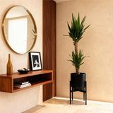 Green boutiQ - Kamerplant - Yucca elephantipes - Yucca - Weinig onderhoud - Groen - 1 - Pot 19cm - Hoogte 95cm