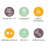 Green boutiQ - Vasteplant - Astrantia major - Sterrenkruid - Schaduw - Wit-Roze - 12 Planten - Pot 11cm - Hoogte 15-25cm