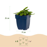 Green boutiQ - Vasteplant - Stachys mon. Hummelo - Ezeloor - Bijen- en vlinderlokkers - Paars - 24 Planten - Pot 11cm - Hoogte 15-25cm