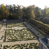 Green boutiQ - Buxus Haag - BetterBuxus Babylon Beauty - Resistant tegen de Buxus Schimmel - 7 planten - 1 strekkende meter - pot 10,5cm hoogte 25-30