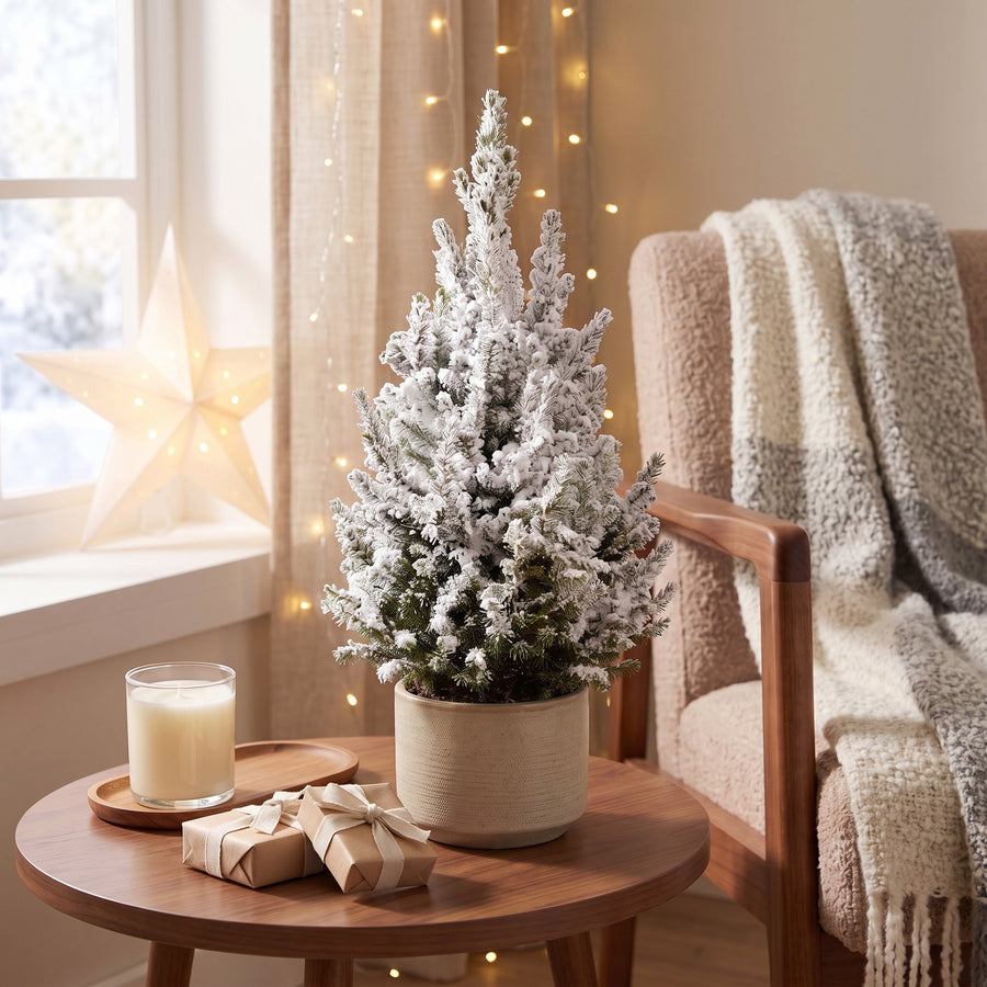Kegelspar kerstboom besneeuwd – Pot Ø19 cm · 65 cm hoog (foto 3)