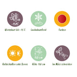Green boutiQ - Terrasplant - Japanse Esdoorn - Acer palmatum Shaina - Rood - 1 Plant - Bladverliezend - Pot 19cm Hoogte 70cm