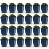 Green boutiQ - Vasteplant - Campanula portenschlagiana - Perzikbladklokje - Bodembedekkend - Roze - 24 Planten - Pot 11cm - Hoogte 15-25cm