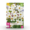 Green boutiQ - Bloembollen - Narcis Recurvus - Kleur Wit - 10 stuks - Bolmaat 12/14 - XXL Pack