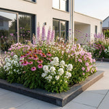 Green boutiQ - Vasteplant - Borderpakket - Bijen en vlinderlokkend - Diversen - Soorten en kleuren - 6 Planten - Pot 11cm - Hoogte 15-25cm