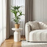 Green boutiQ - Kamerplant - Howea Forsteriana - Kentia Palm - Weinig Onderhoud - Groen - 1 Plant - met Mand - Pot 19cm - Hoogte 80-85cm
